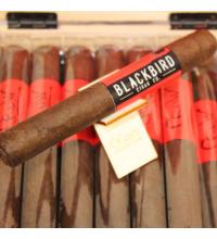 Blackbird Crow Gran Toro Cigar - 1 Single