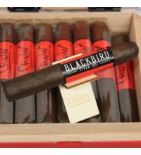 Blackbird Crow Robusto Cigar - 1 Single