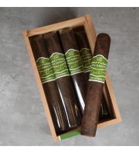 Casa Turrent Origenes San Andres Cigar - Box of 12