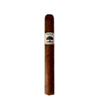 Foundation Charter Oak Original Petit Corona Cigar - 1 Single