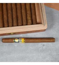 Cohiba Panetelas Cigar - 1 Single