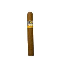 Cohiba Siglo VI Cigar - 1 Single