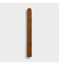 Conquistador Panatella Cigar - 1 Single