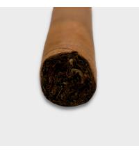 Conquistador Panatella Cigar - 1 Single