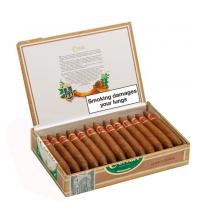 Cuaba Exclusivos Cigar - Box of 25