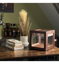 Adorini Cube Deluxe Walnut Cigar Humidor - 100 Cigar Capacity (AD069)