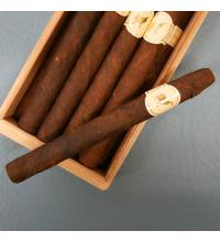 De Olifant Limited Edition Brasil Corona Panatella Cigar - 1 Single