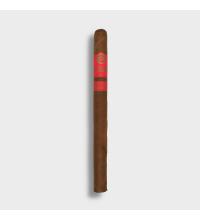 Plasencia Dominique Seleccion 2026 Exclusive Lancero - 1 Single