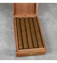 De Olifant Senoritas - VOC XO Cigar - Box of 10