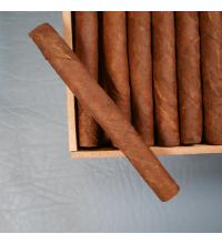 Dutch Blend Senoritas Brazil Cigar - 1 Single
