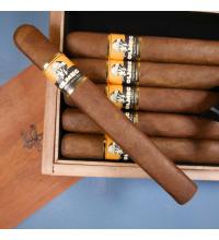 Foundation Olmec Claro Double Corona Cigar - 1 Single
