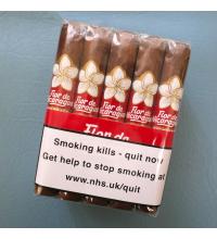 Joya de Nicaragua Flor De Nicaragua Robusto Cigar - Bundle of 20