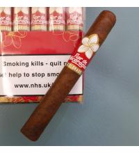 Joya de Nicaragua Flor De Nicaragua Toro Cigar - 1 Single