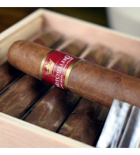 20 + 1 Mitchellero Robusto Cigar Sampler - 21 Cigars
