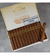 San Cristobal La Fuerza Cigar - Box of 25