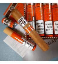 VegaFina Nicaragua Robusto Tubed Cigar - 1 Single
