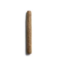 De Olifant Corona Cigar - 1 Single