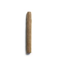 De Olifant Senoritas - VOC XO Cigar - 1 Single