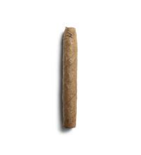 De Olifant Half Corona - Matelieff Cigar - 1 Single