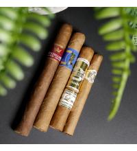 Excellent Exclusives Sampler - 4 Cigars
