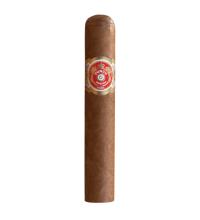 Punch Short de Punch Cigar - 1 Single