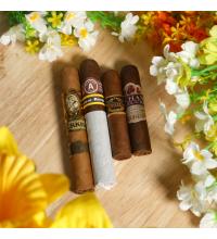 A Summers Selection Sampler - 4 Cigars