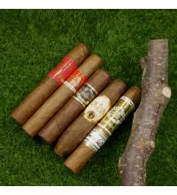 A Summers Dog Walk Sampler - Leisure - 5 Cigars