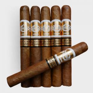 FLASH SALE - 5 + 1 Regius Orchant Seleccion Peru 2025 Corona Gorda Sampler - 6 Cigars