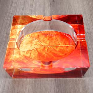 Glass With Tobacco Leaf Cigar Ashtray - Four Position