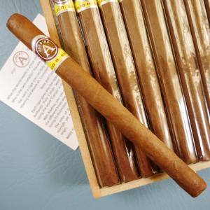 Aladino Corojo Elegante Cigar - 1 Single