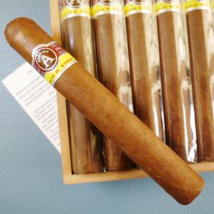 Aladino Corojo Gordo Cigar - 1 Single