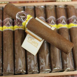 Aladino Corojo Robusto Cigar - 1 Single