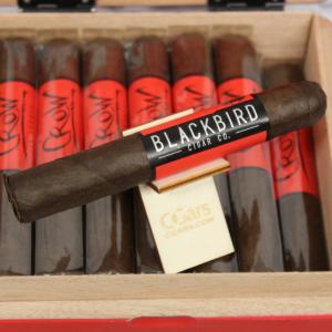 Blackbird Crow Robusto Cigar - 1 Single