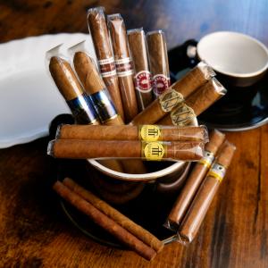 The Brisk Bunch Selection Sampler - 14 Cigars