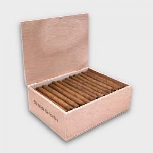 C.Gars Ltd Double Dutch Blend Wilde Senoritas - Box of 50