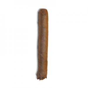 C.Gars Ltd Dutch Blend Wilde Senoritas - 1 Single