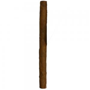 Cohiba Club Cigarillos - 1 Single