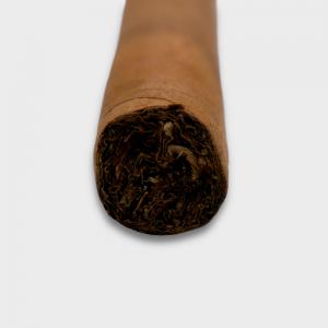 Conquistador Panatella Cigar - 1 Single