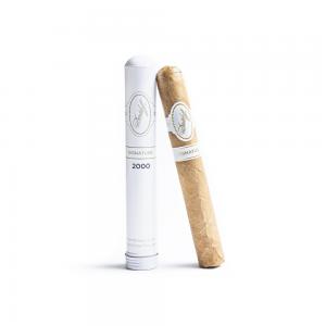Davidoff Signature 2000 Tubos Cigar - 1 Single