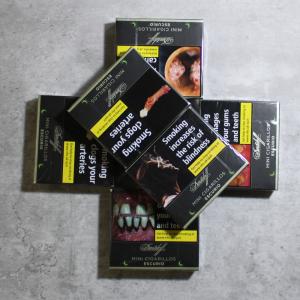 5 + 1 - Davidoff Mini Cigarillos Escurio - 6 Packs of 20 (120 Cigarillos)
