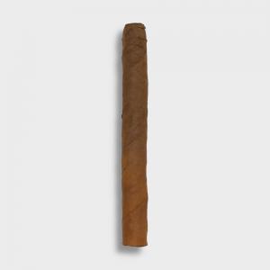 Dutch Cigars Wilde Senoritas - 1 Single