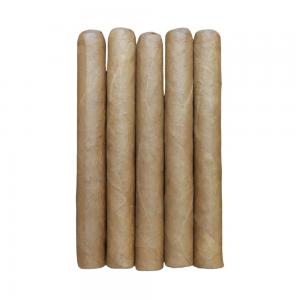 FLASH SALE - Humidor Top Up - Machetero Corona Gorda Sampler - 5 Cigars
