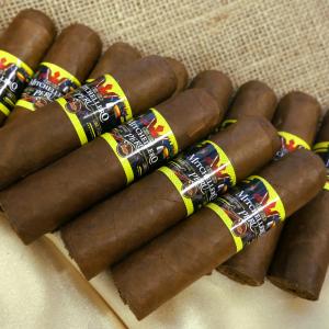 FLASH SALE - 10 + 2 Mitchellero Peru Novellini - 12 Cigars