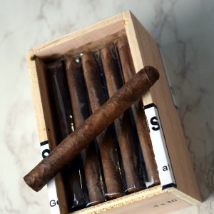 20 + 1 Mitchellero Chicos Cigar Sampler - 21 Cigars