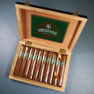 Rocky Patel Orchant Seleccion Number 6 Blend Robusto - Box of 10