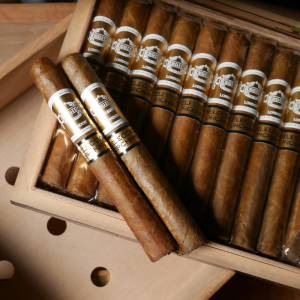 FLASH SALE - 10 + 2 Regius Orchant Seleccion Peru 2025 Corona Gorda Sampler - 12 Cigars