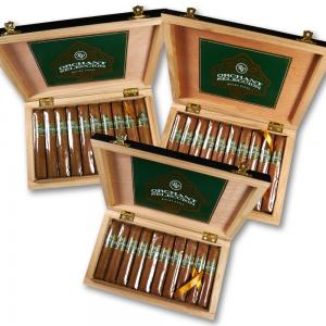 Rocky Patel Orchant Seleccion Petit Robusto, Robusto & Rothschild - 3 x Box of 10 (30) Mixed Bundle Deal