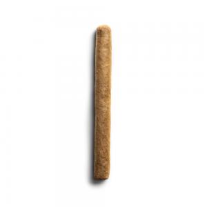 Cusano Dominican Selection Petit Panatela Cigar - 1 Single (Discontinued)