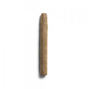 De Olifant Senoritas - VOC XO Cigar - 1 Single