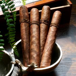 FLASH SALE - 4 FOR 100 - CAO Amazon Basin Toro Sampler - 4 Cigars
